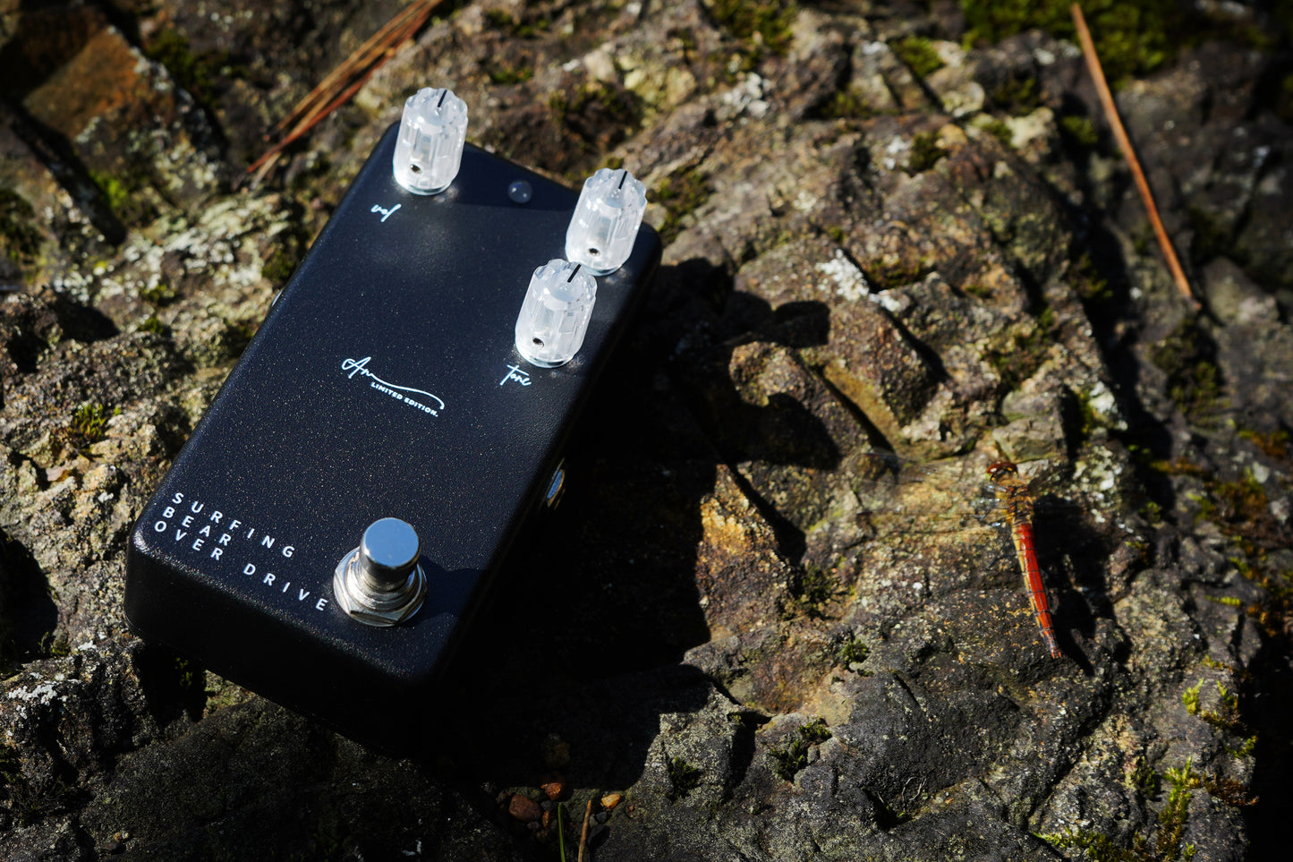 Animals Pedal - 組み合わせ自由!SURFING BEAR OVERDRIVE LIMITED EDITION が必ず入る限定BOX【数量限定】