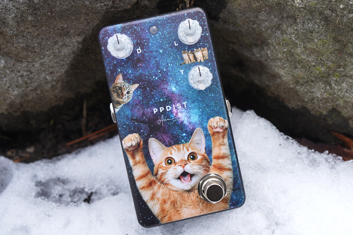 Animals Pedal - 組み合わせ自由!PUSH & PULL DISTORTION LIMITED EDITION C が必ず入る限定BOX【数量限定】