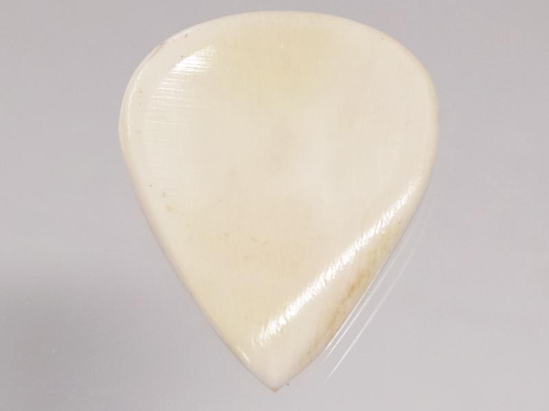 Animals Pedal Wild Picks (CB-JP-DD-WH) Cow Bone Jazz Pick Double Dent White