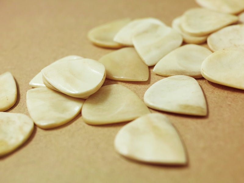 Animals Pedal Wild Picks (CB-JP-DD-WH-S) Cow Bone Jazz Pick Double Dent White Small