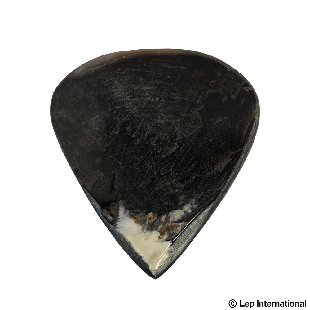 Animals Pedal Wild Picks Mother of Pearl Tear Drop Small ティアドロップ スモール 2.0~3.0mm MOP-TD-N-S