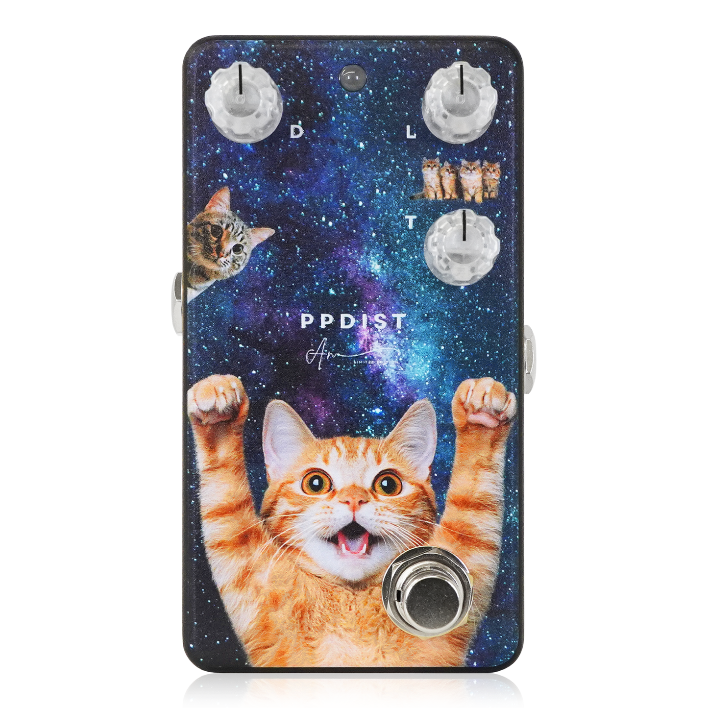 Animals Pedal - 組み合わせ自由！PUSH & PULL DISTORTION LIMITED EDITION C が必ず入る限定BOX【数量限定】