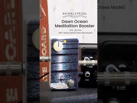 Animals Pedal Dawn Ocean Meditation Booster
