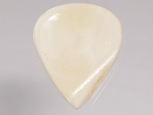 Animals Pedal Wild Picks (CB-JP-DD-WH)　Cow Bone Jazz Pick Double Dent White